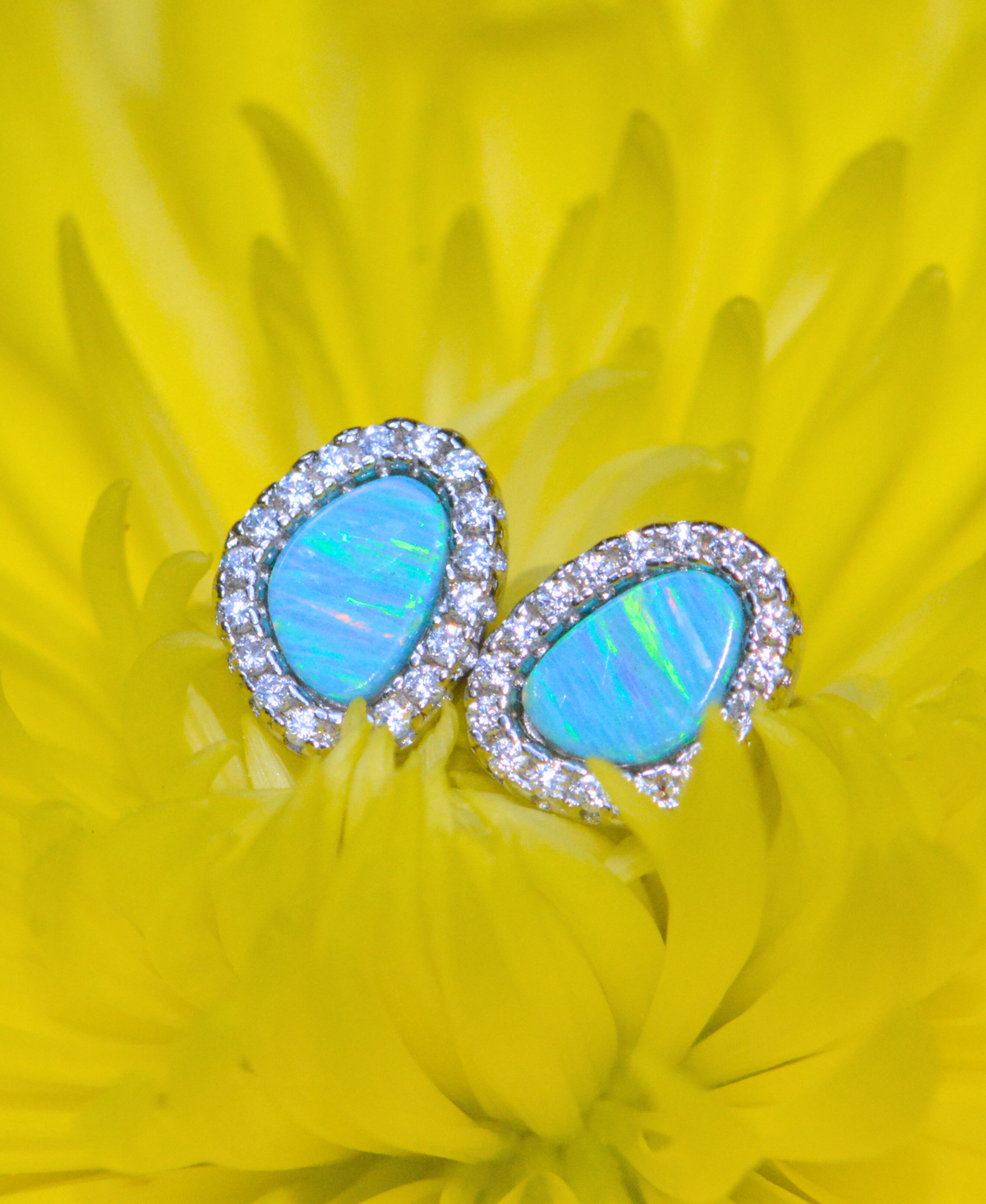 Opal Pebble Stud Earrings