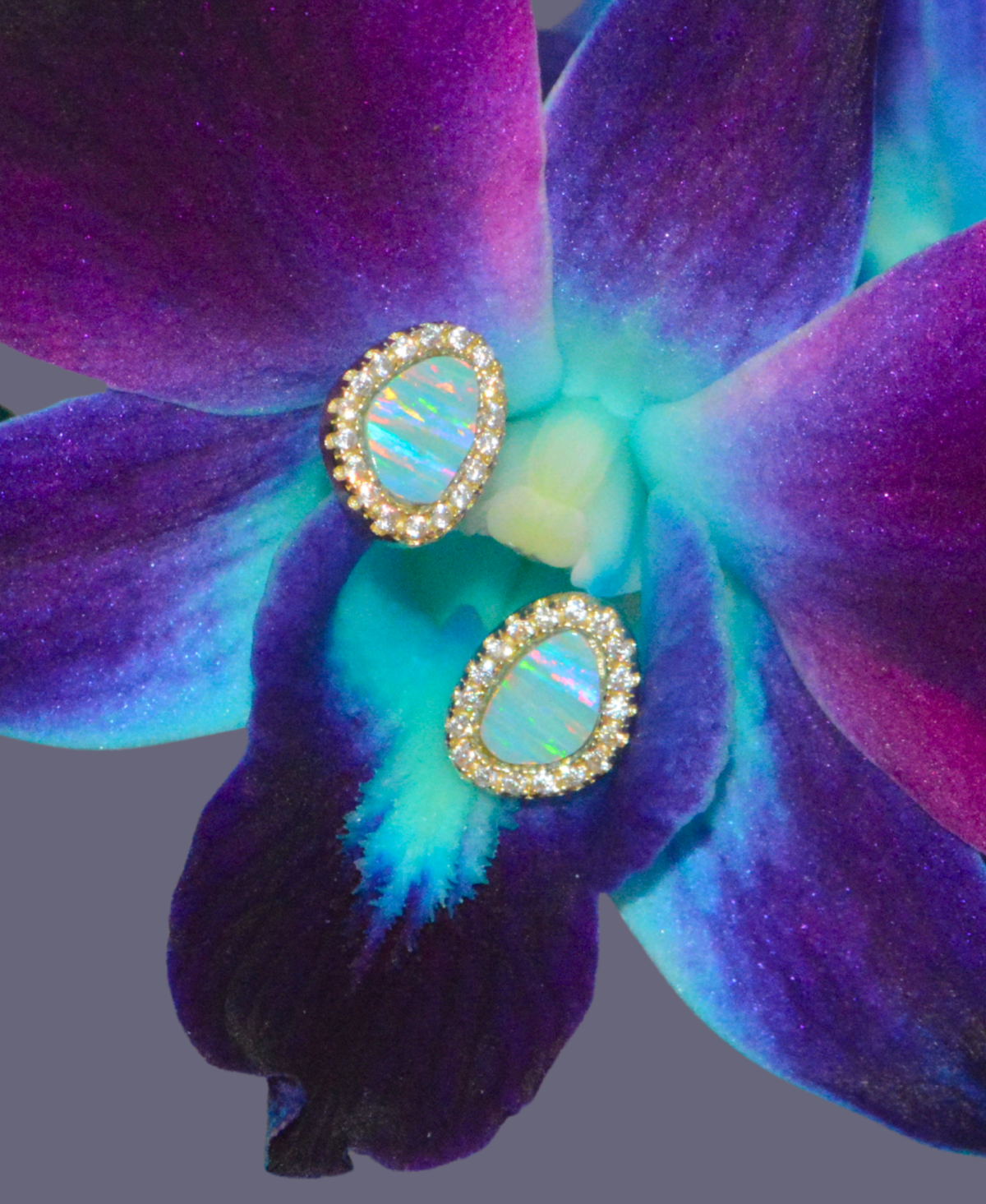 Opal Pebble Stud Earrings