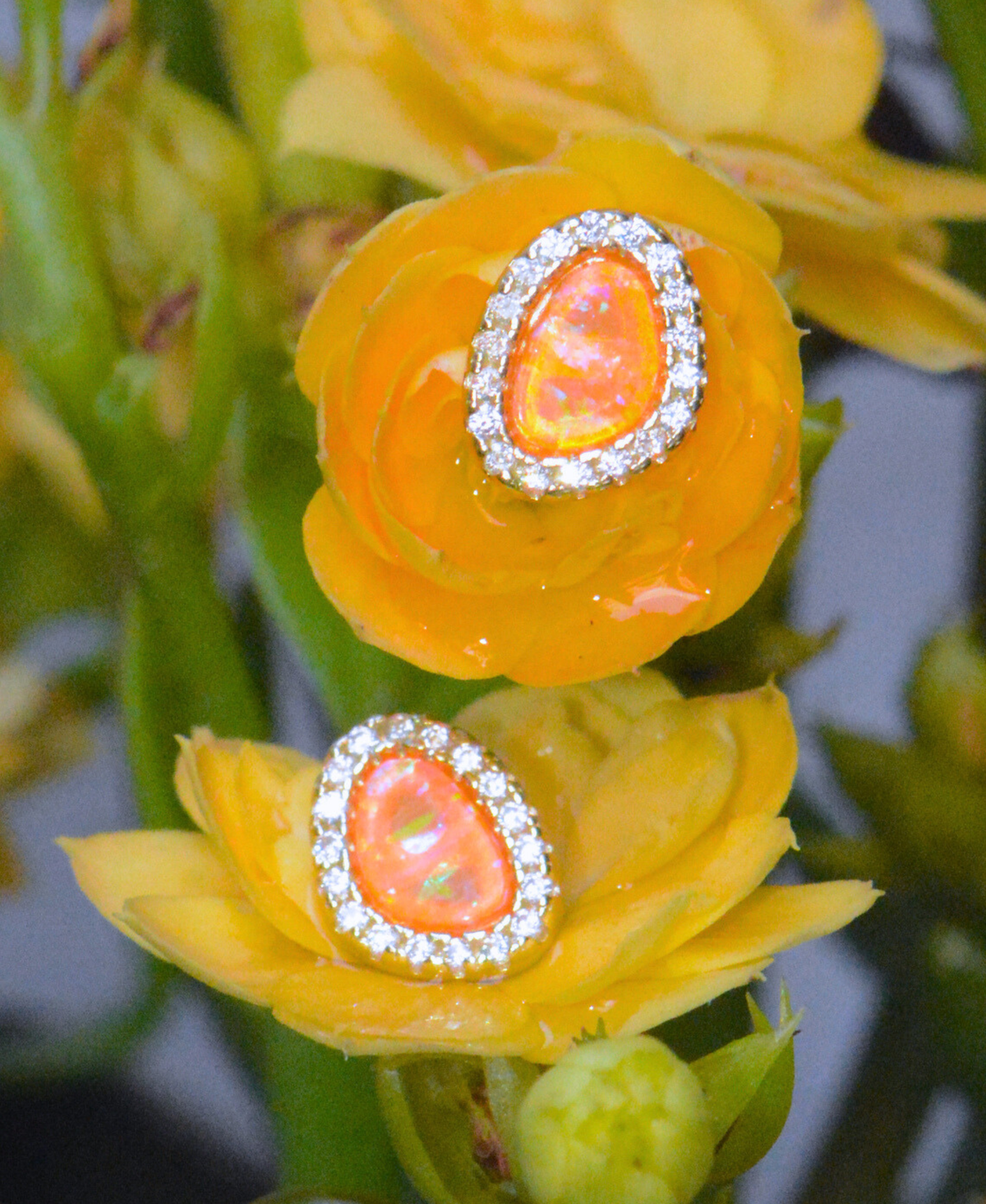 Opal Pebble Stud Earrings