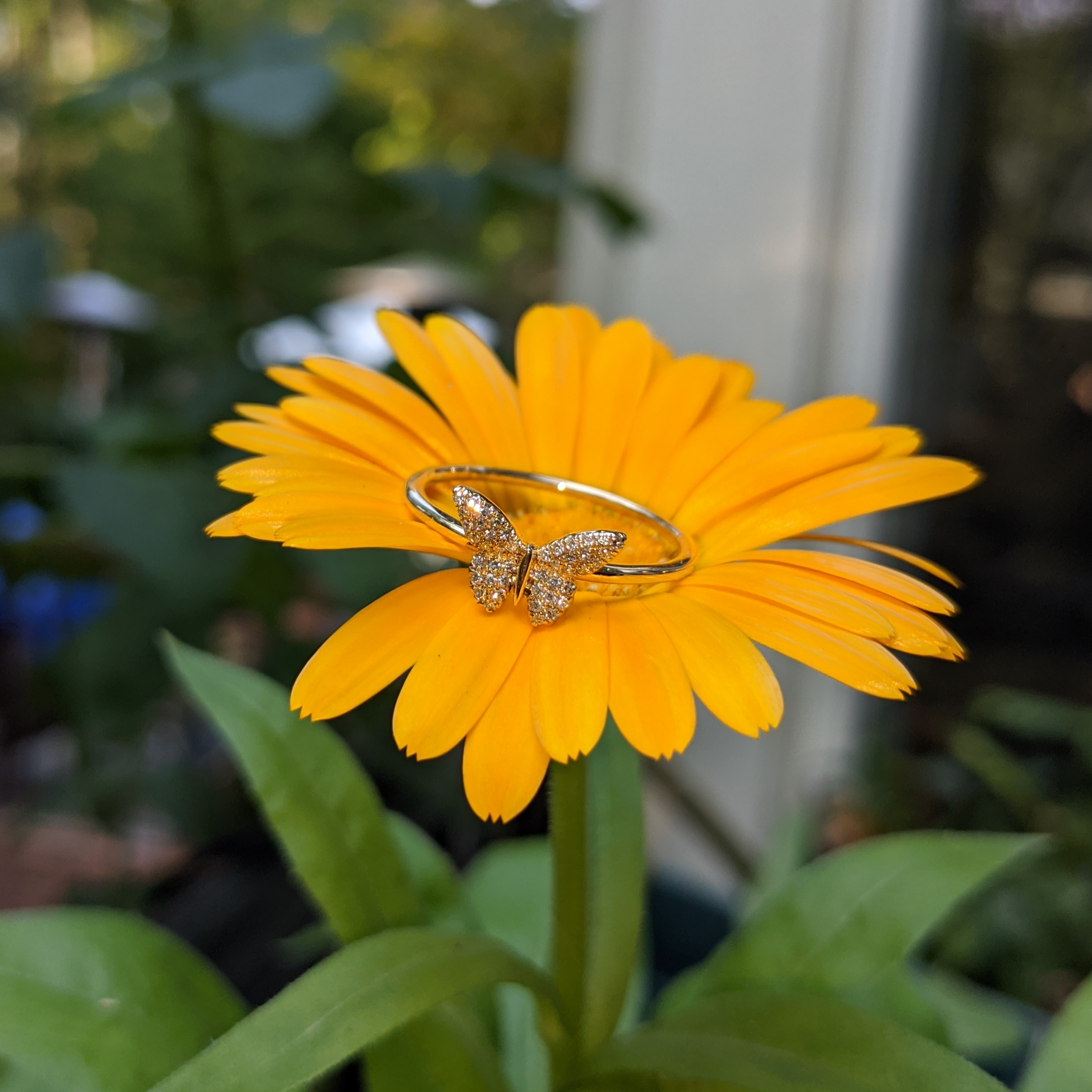 Yellow 2025 butterfly ring