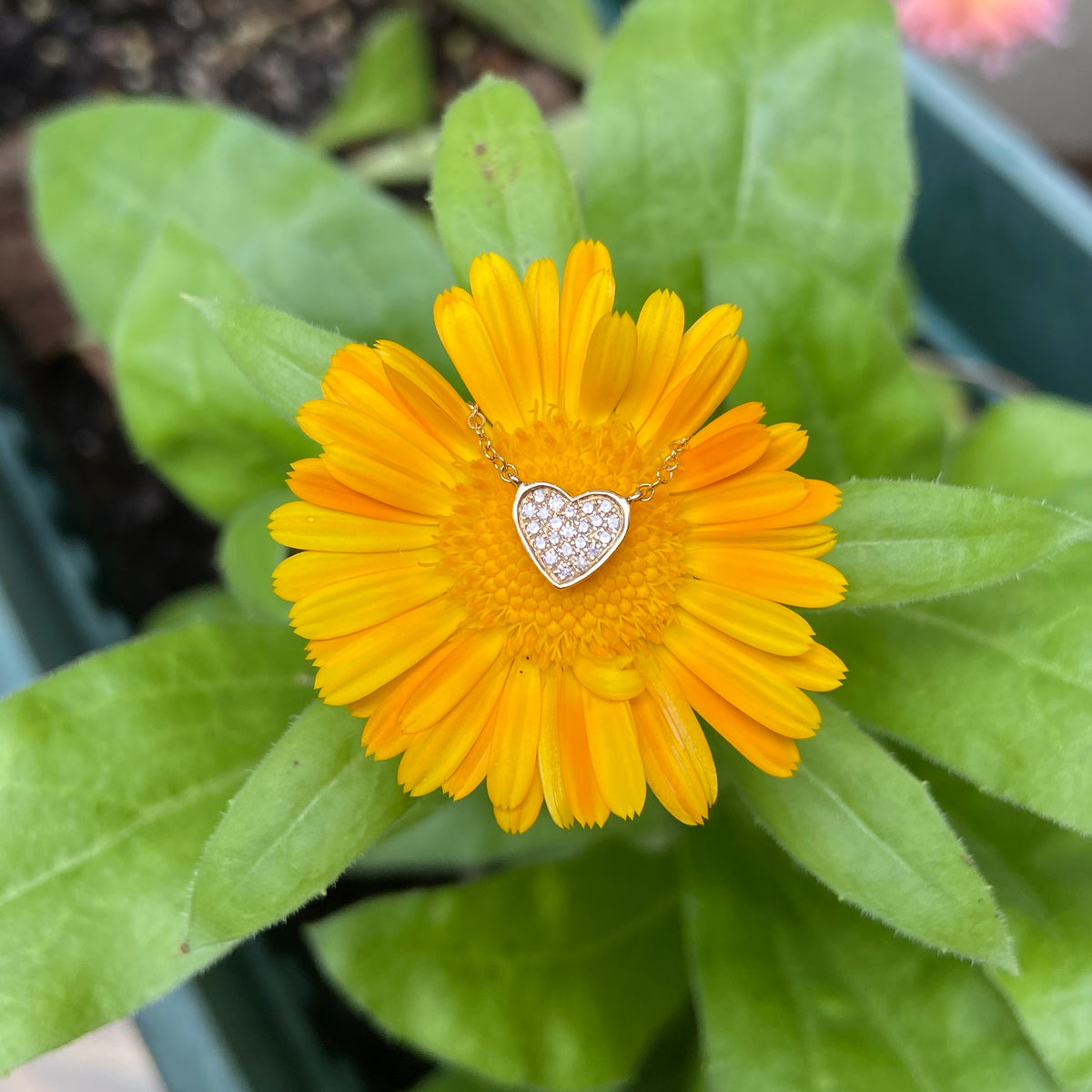 Mini Diamond Heart Necklace in 14k Gold